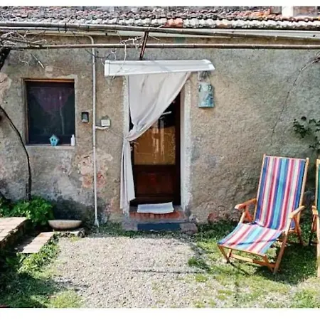 Wild House Nel Bosco Via Francigena Lejlighed *