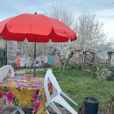 Lejlighed Wild House Nel Bosco Via Francigena