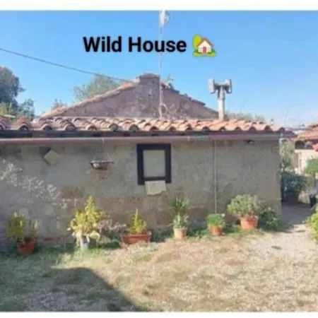 Lejlighed Wild House Nel Bosco Via Francigena