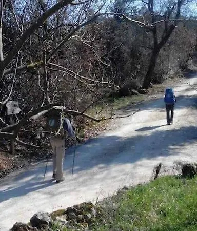 Wild House Nel Bosco Via Francigena * Monteriggioni