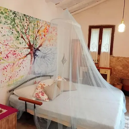 Wild House Nel Bosco Via Francigena