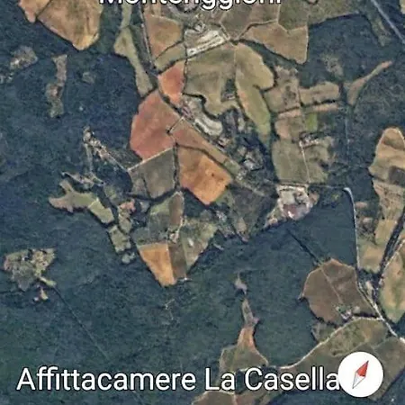 Wild House Nel Bosco Via Francigena Lejlighed *