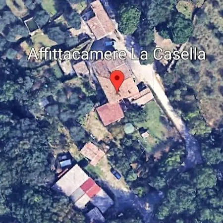 Wild House Nel Bosco Via Francigena