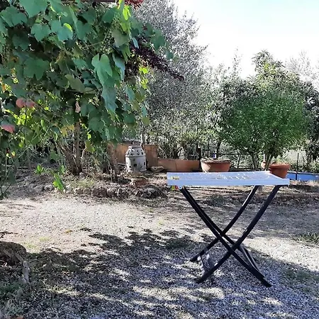 Wild House Nel Bosco Via Francigena *