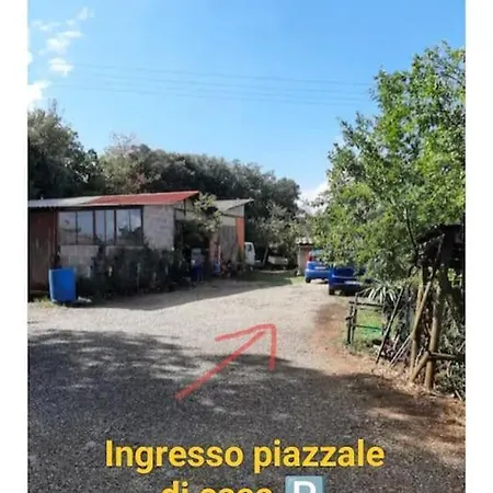 Wild House Nel Bosco Via Francigena Lejlighed Monteriggioni